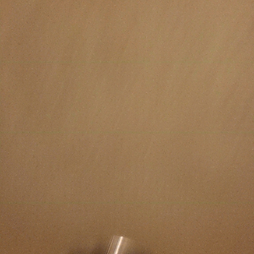 Meet your Posher, Joey